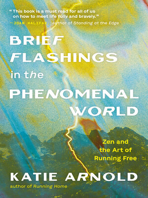 cover image of Brief Flashings in the Phenomenal World